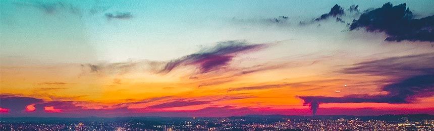 永春茶虫网_永春品茶